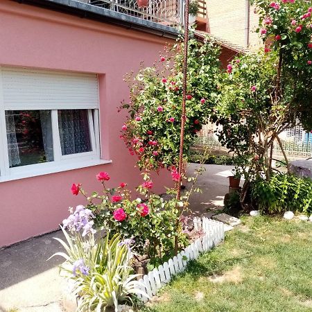 Apartman Vesna Ovcar Banja Exterior photo