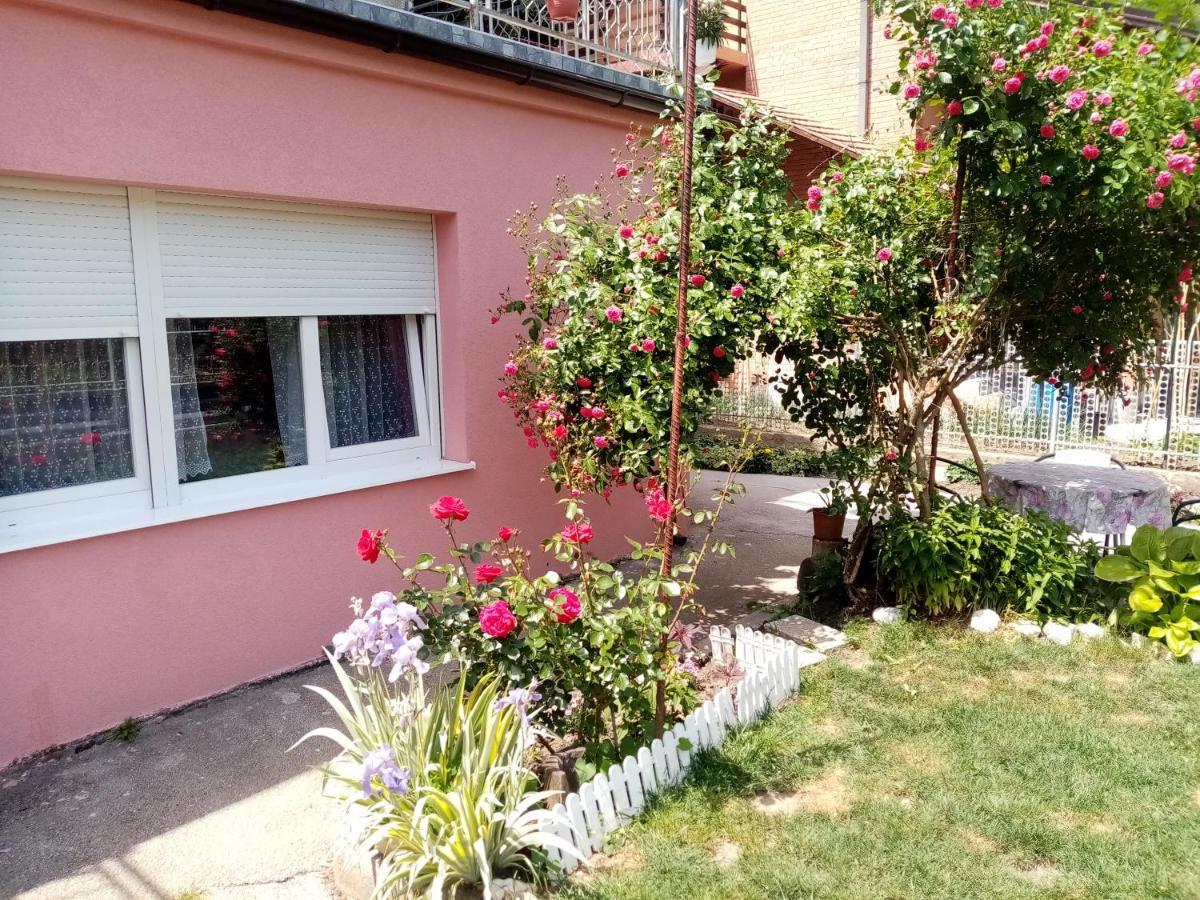 Apartman Vesna Ovcar Banja Exterior photo
